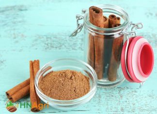 unveiling-leading-cinnamon-manufacturers-farm-spice-rack-1