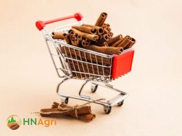 various-types-benefits-cinnamon-sticks-1