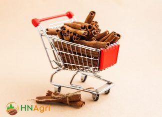 various-types-benefits-cinnamon-sticks-1