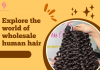 explore-the-world-of-wholesale-human-hair-1