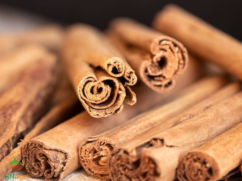 discover-remarkable-qualities-ceylon-cinnamon-sticks-1
